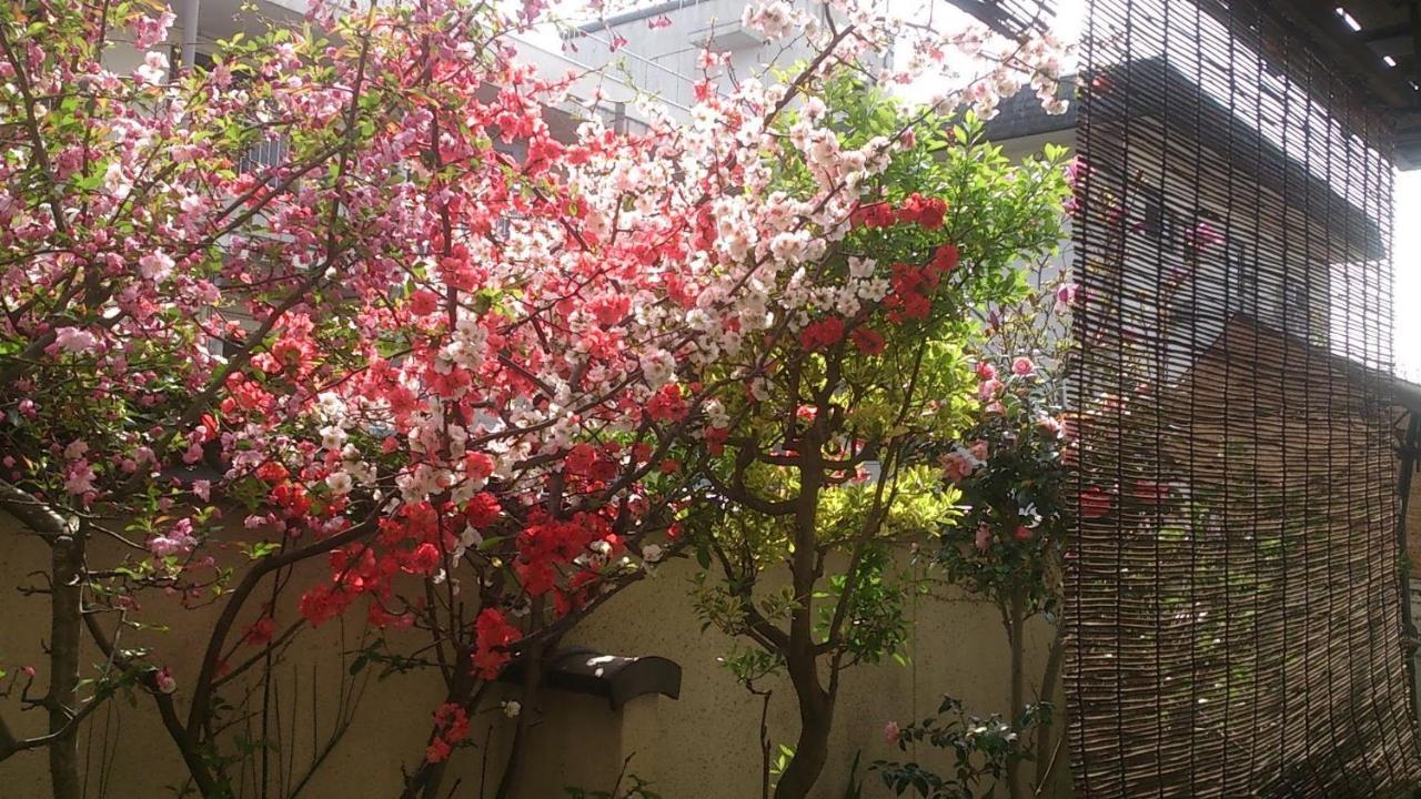 Thank you so muchya Eikando Kyoto Bagian luar foto